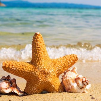 Christmas in August: Reducing Christmas Stress