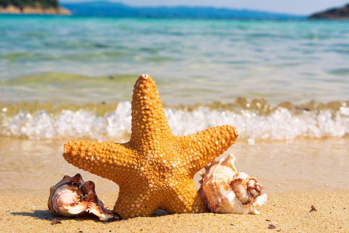Christmas in August: Reducing Christmas Stress