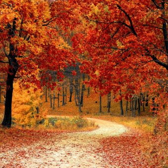 Your Home’s Autumn Checklist