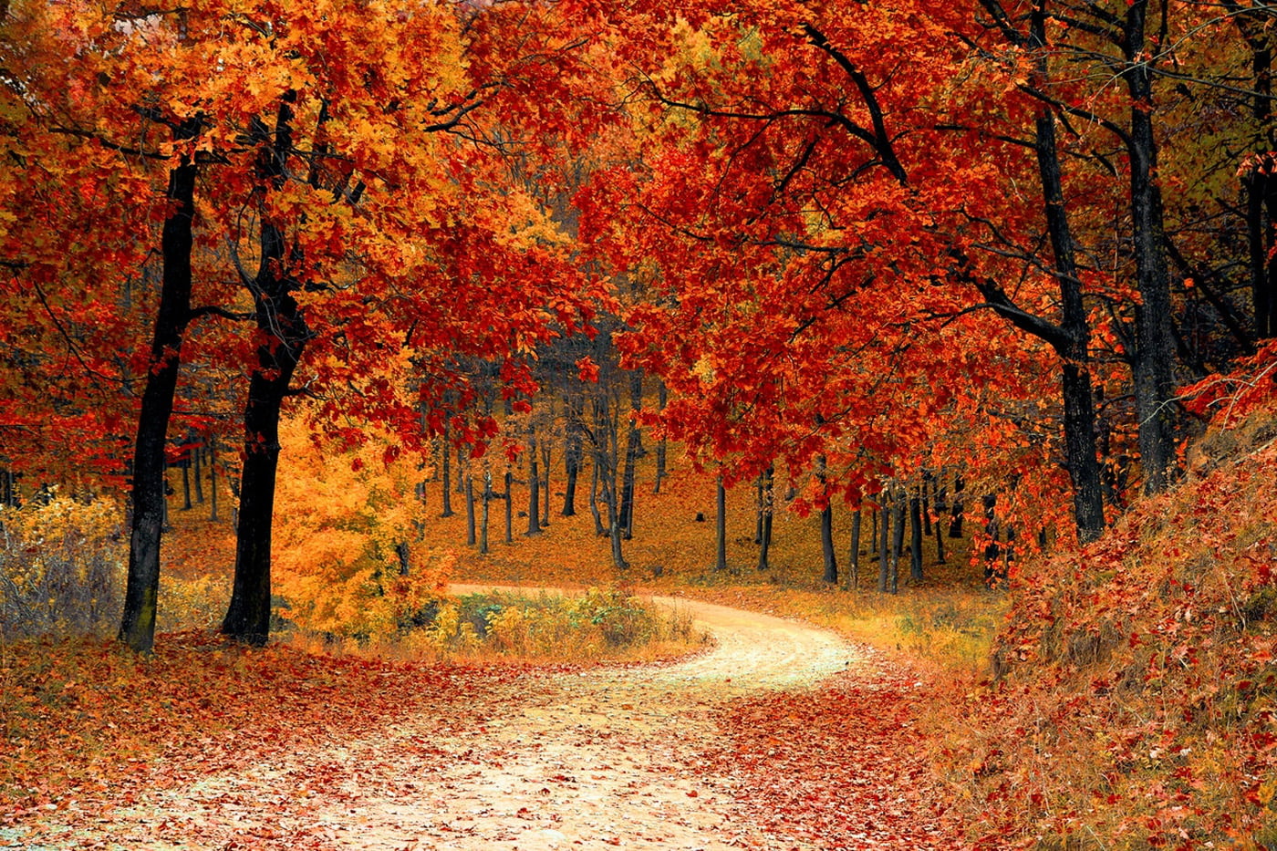 Your Home’s Autumn Checklist
