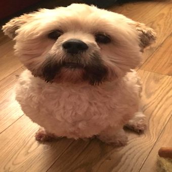 Giveaway: It’s Time for Teddy’s Competition!