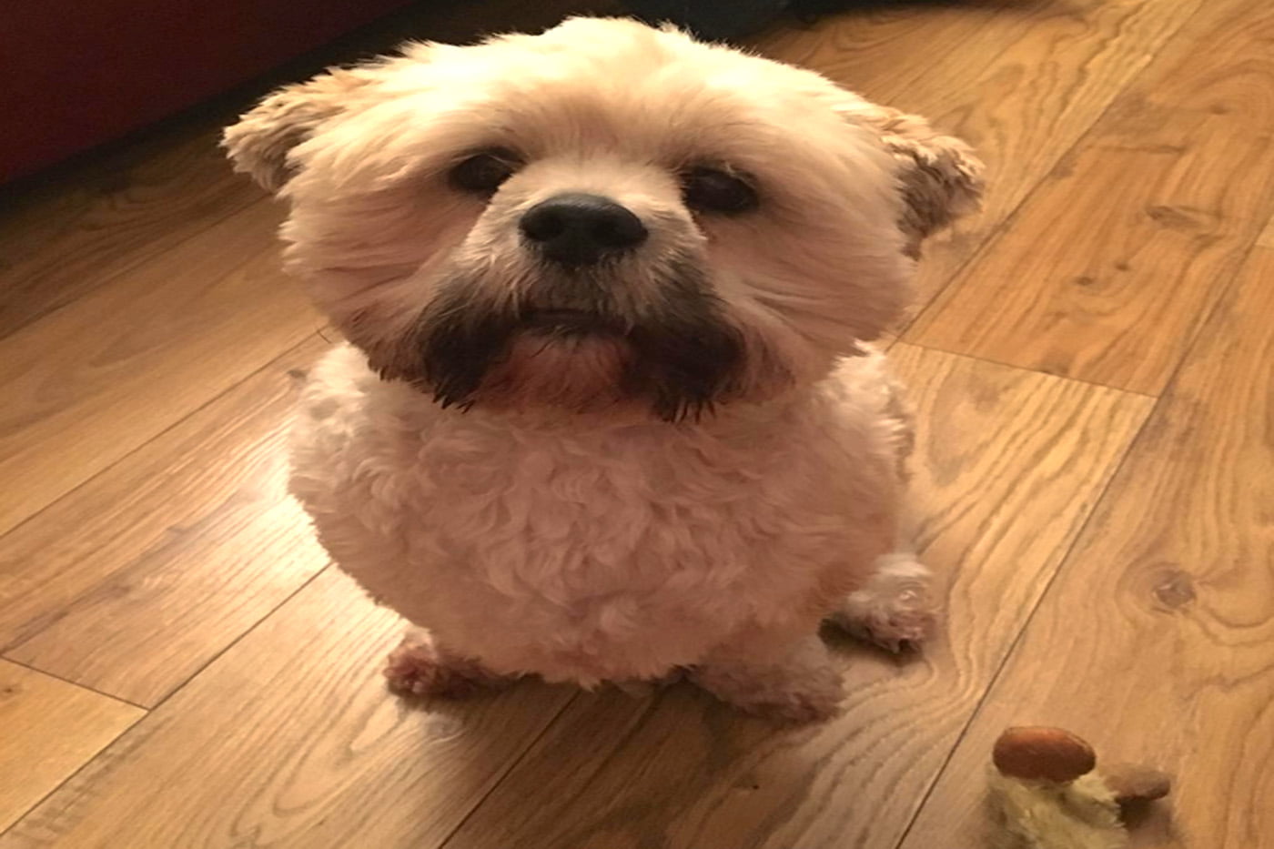 Giveaway: It’s Time for Teddy’s Competition!