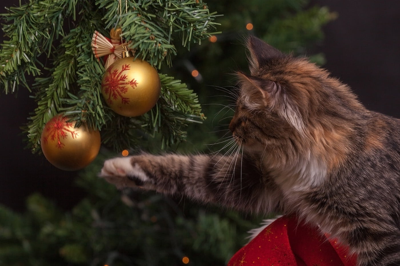 Some Of Our Favourite Christmas Traditions