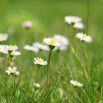 Our Favourite Super Simple Stress Relievers