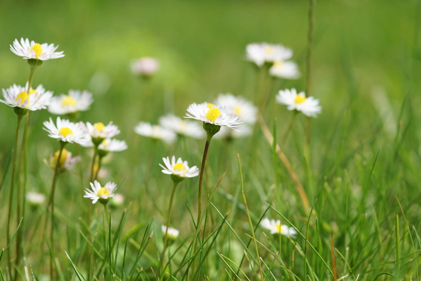 Our Favourite Super Simple Stress Relievers
