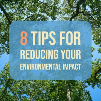 8 Tips for Reducing Your Environmental Impact