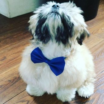 Teddy’s Summer Giveaway!