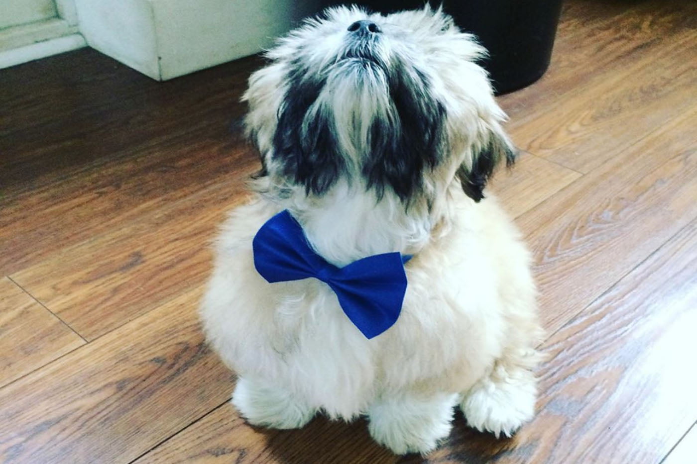 Teddy’s Summer Giveaway!