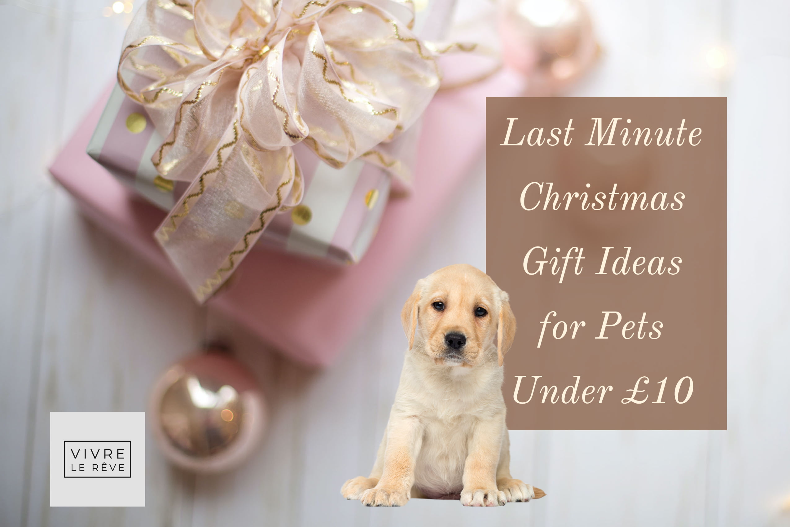 Last Minute Christmas Gift Ideas for Pets Under £10