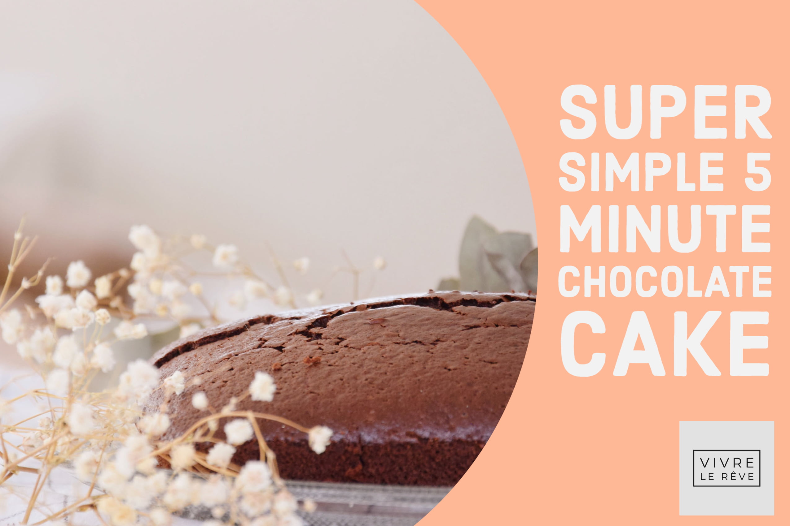 Super Simple 5 Minute Chocolate Cake