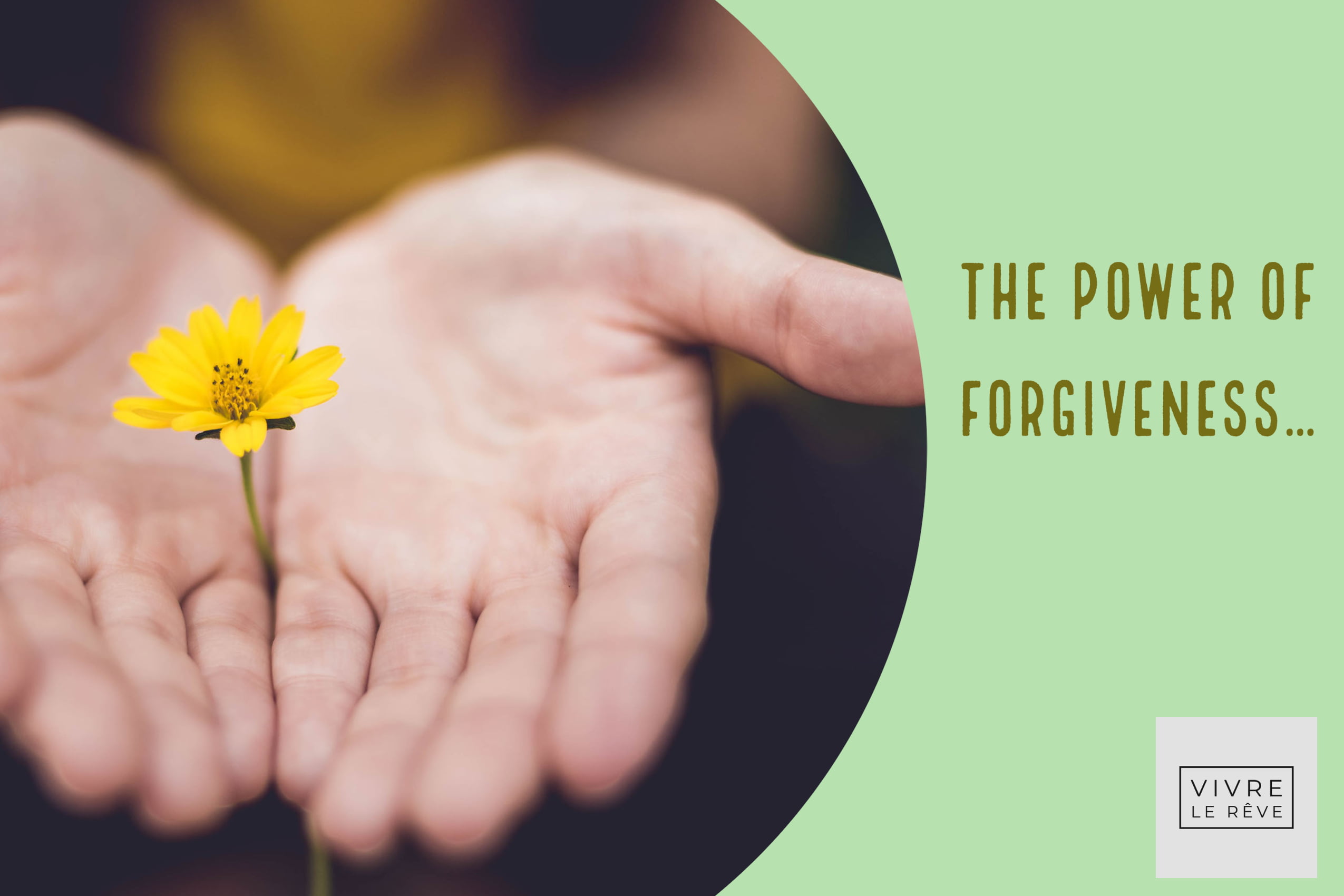 The Power of Forgiveness…