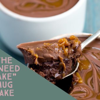 he “I Need Cake” Mug Cake