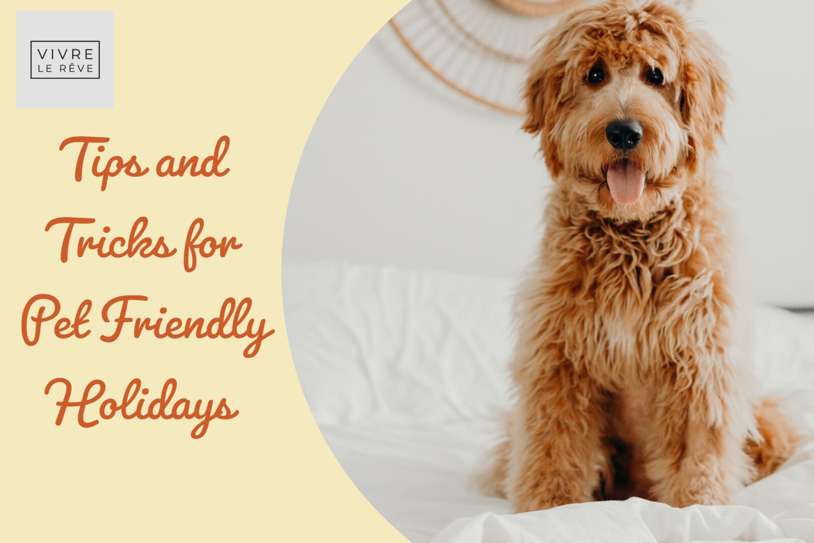 Tips and Tricks for Pet Friendly Holidays