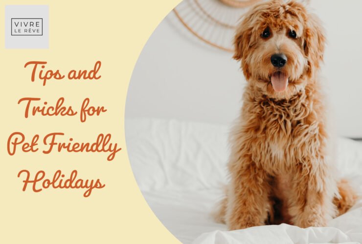 Tips and Tricks for Pet Friendly Holidays