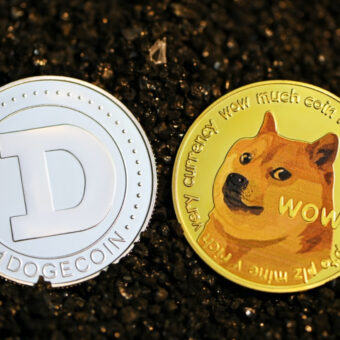 Dogecoin vs Dogelon Mars: What Are the Differences?
