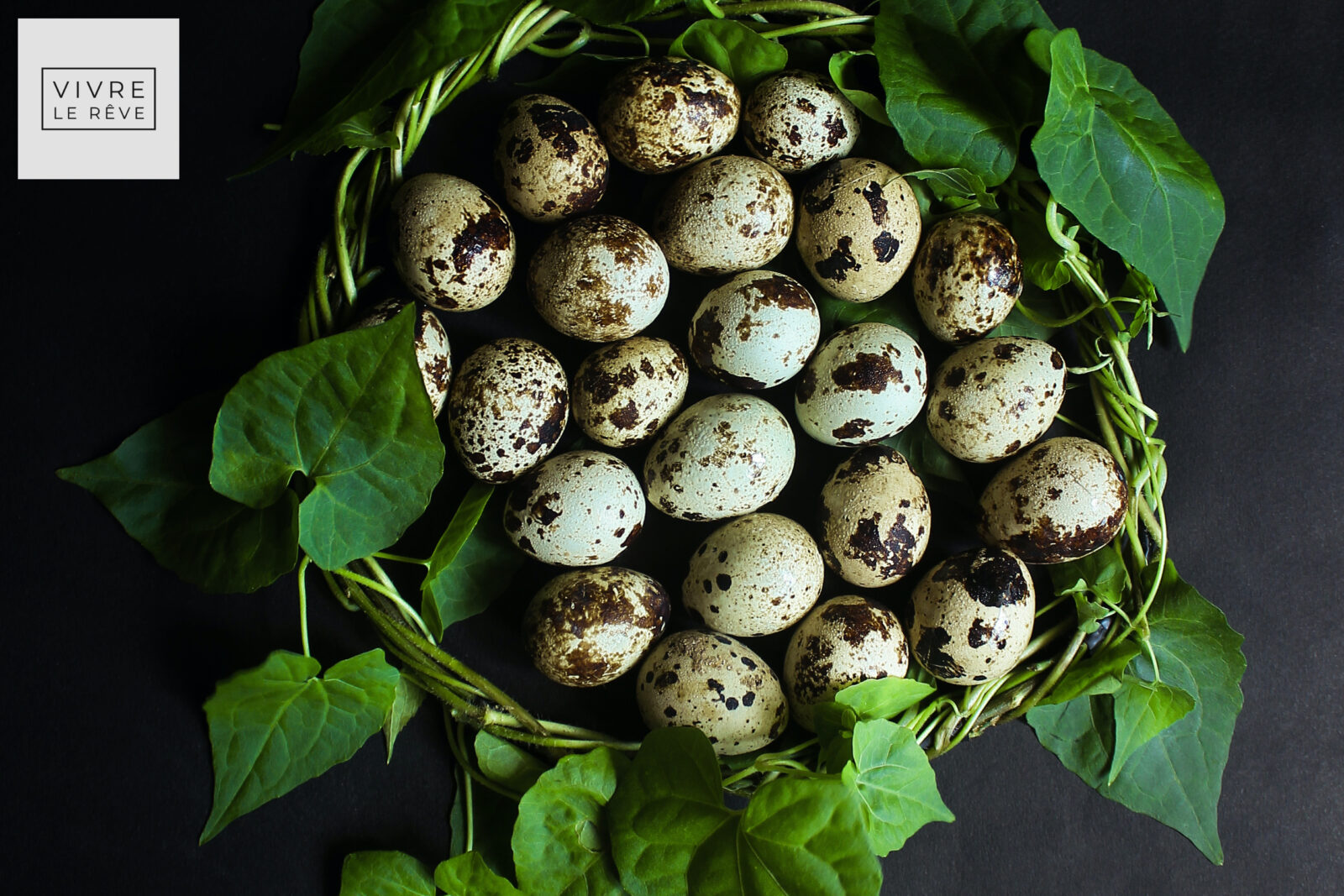 Can You Keep Quails in the UK?