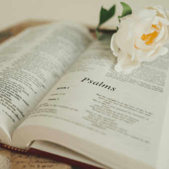 Be Still and Know That I Am God Meaning of Psalm 46,10