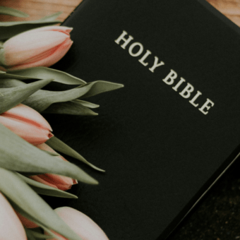 Come to Me All Who Are Weary: Meaning of Matthew 11:28