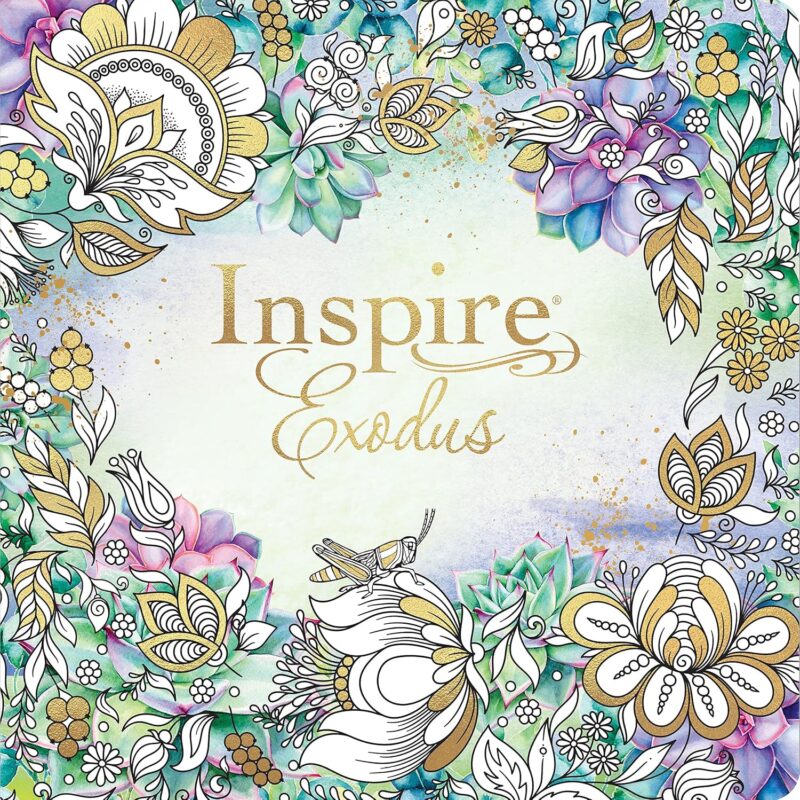 An Exodus Bible Study Guide for Christian Women