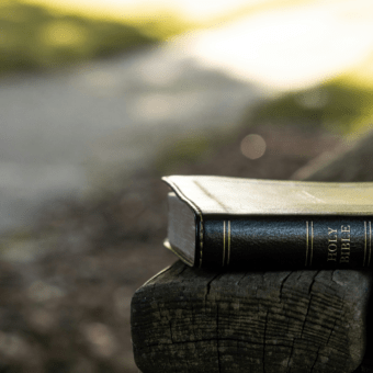 An Exodus Bible Study Guide for Christian Women