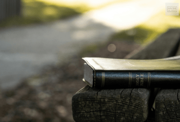 An Exodus Bible Study Guide for Christian Women