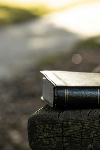 An Exodus Bible Study Guide for Christian Women