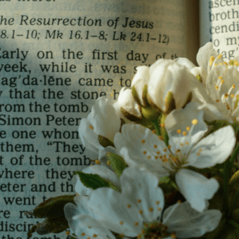 What Easter Actually Is And Why It Changes Everything