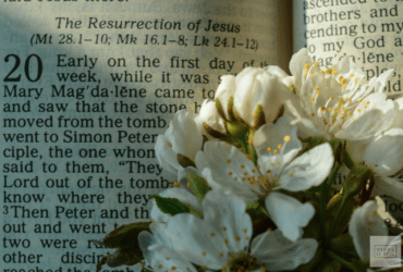 What Easter Actually Is And Why It Changes Everything
