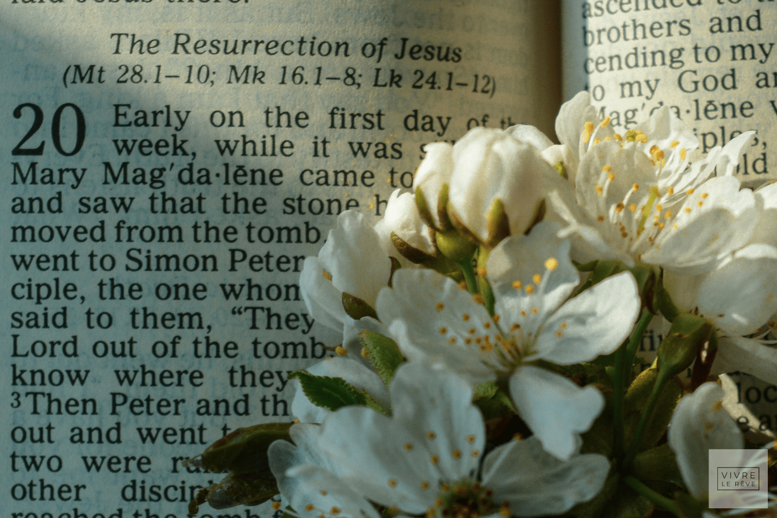 What Easter Actually Is And Why It Changes Everything